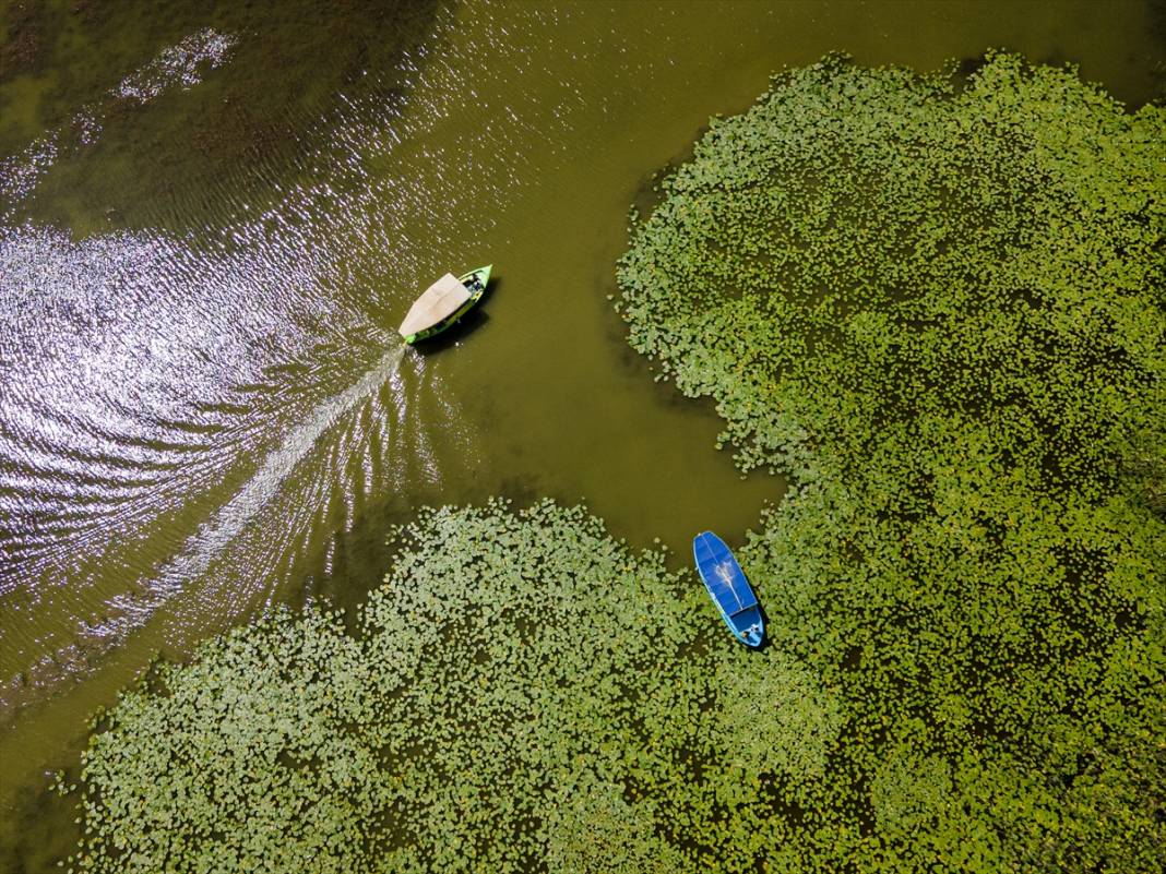Konya’da beklenen an! Doğanın sessiz mucizesi göz kamaştırmaya başladı 1